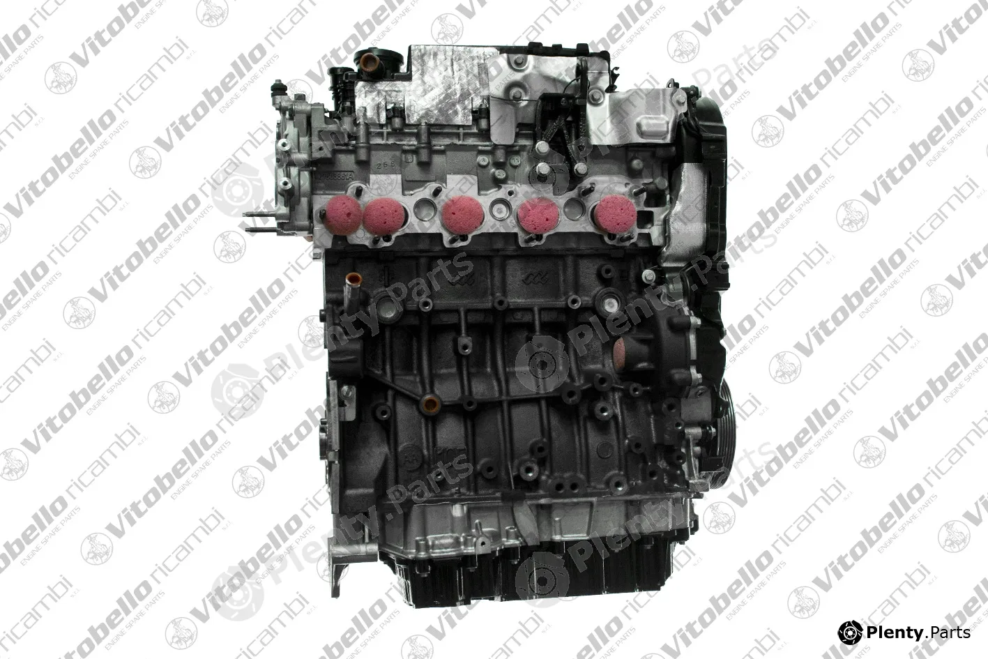 Vitobello Ricambi 1000347NO — Complete Engine