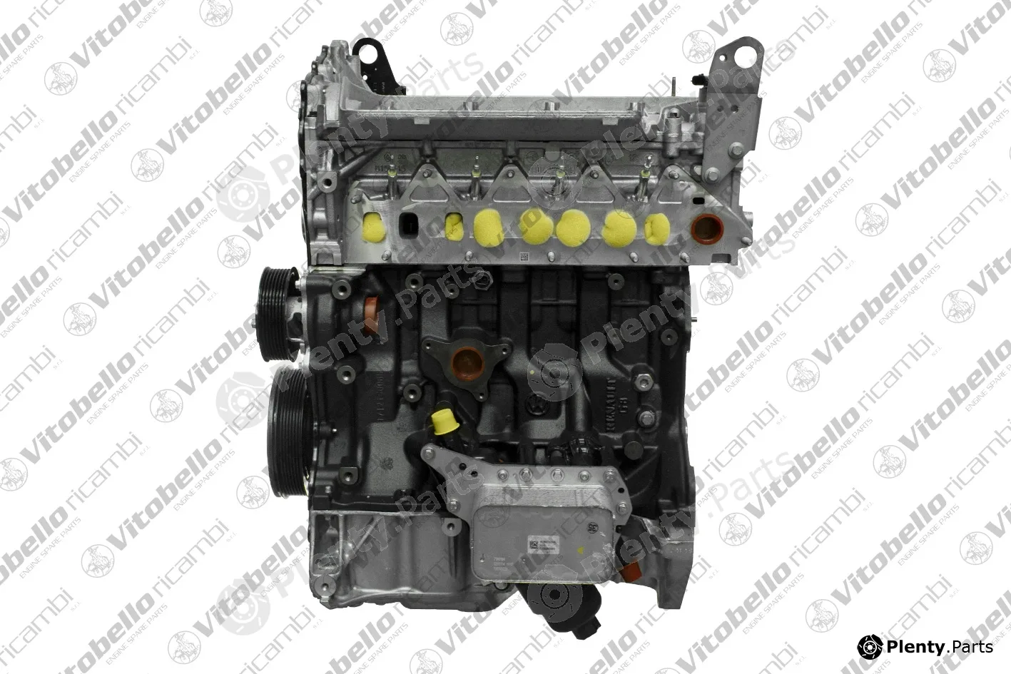 Vitobello Ricambi 1003579NO — Complete Engine
