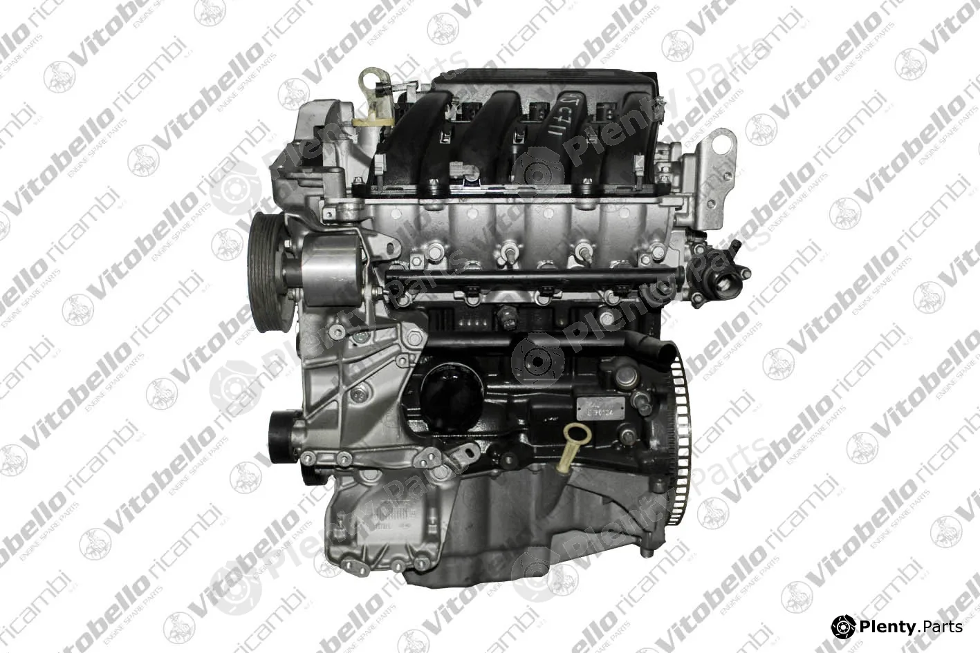 Vitobello Ricambi 1002475NO — Complete Engine