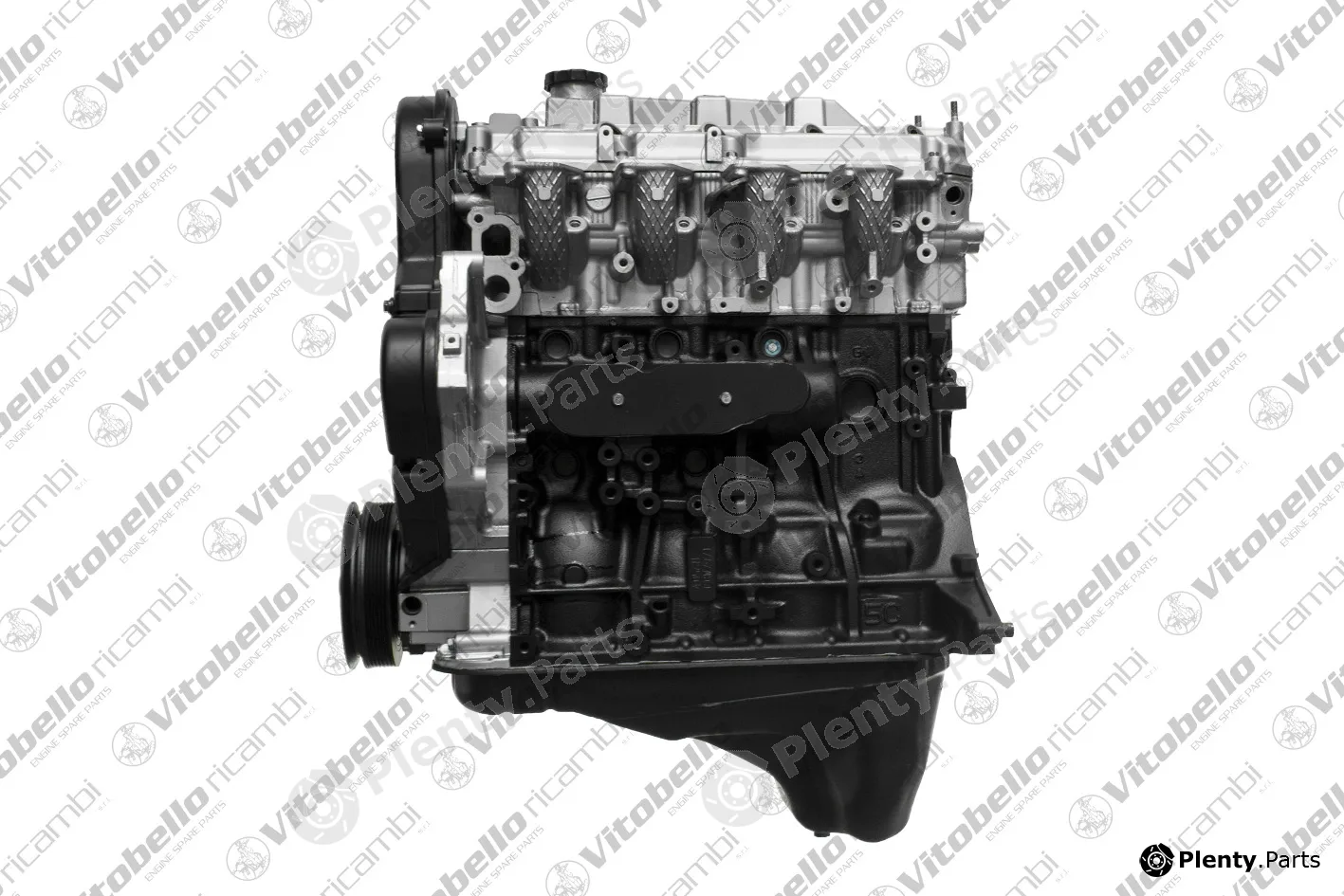 Vitobello Ricambi 1004202R — Complete Engine