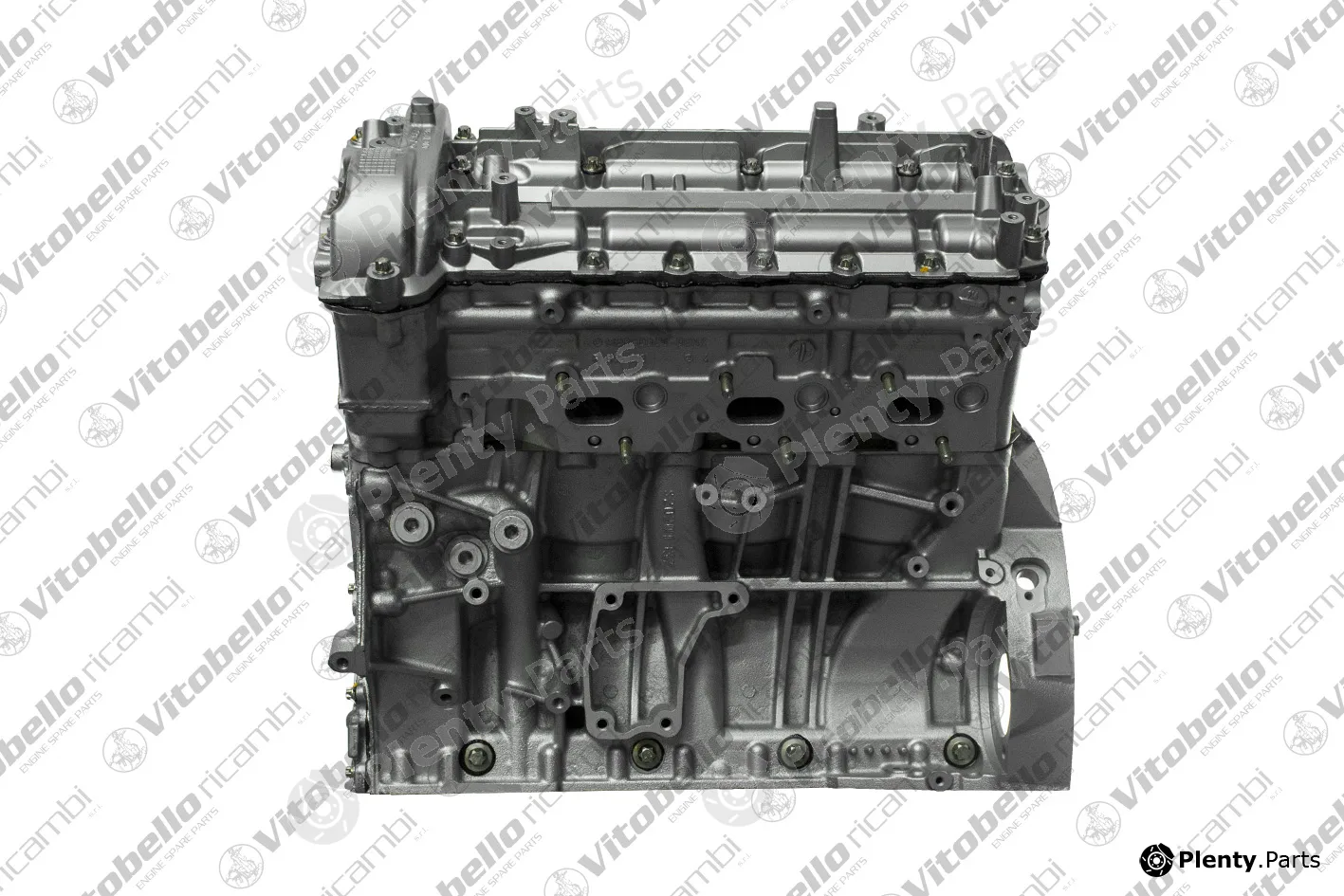 Vitobello Ricambi 1001630R — Complete Engine