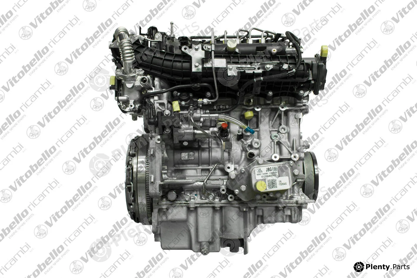 Vitobello Ricambi 1003523NO — Complete Engine