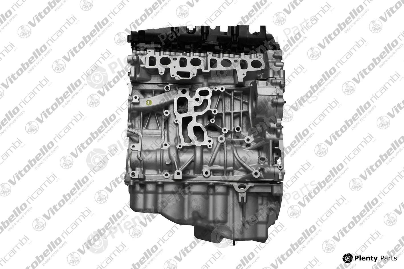 Vitobello Ricambi 1003805R — Complete Engine