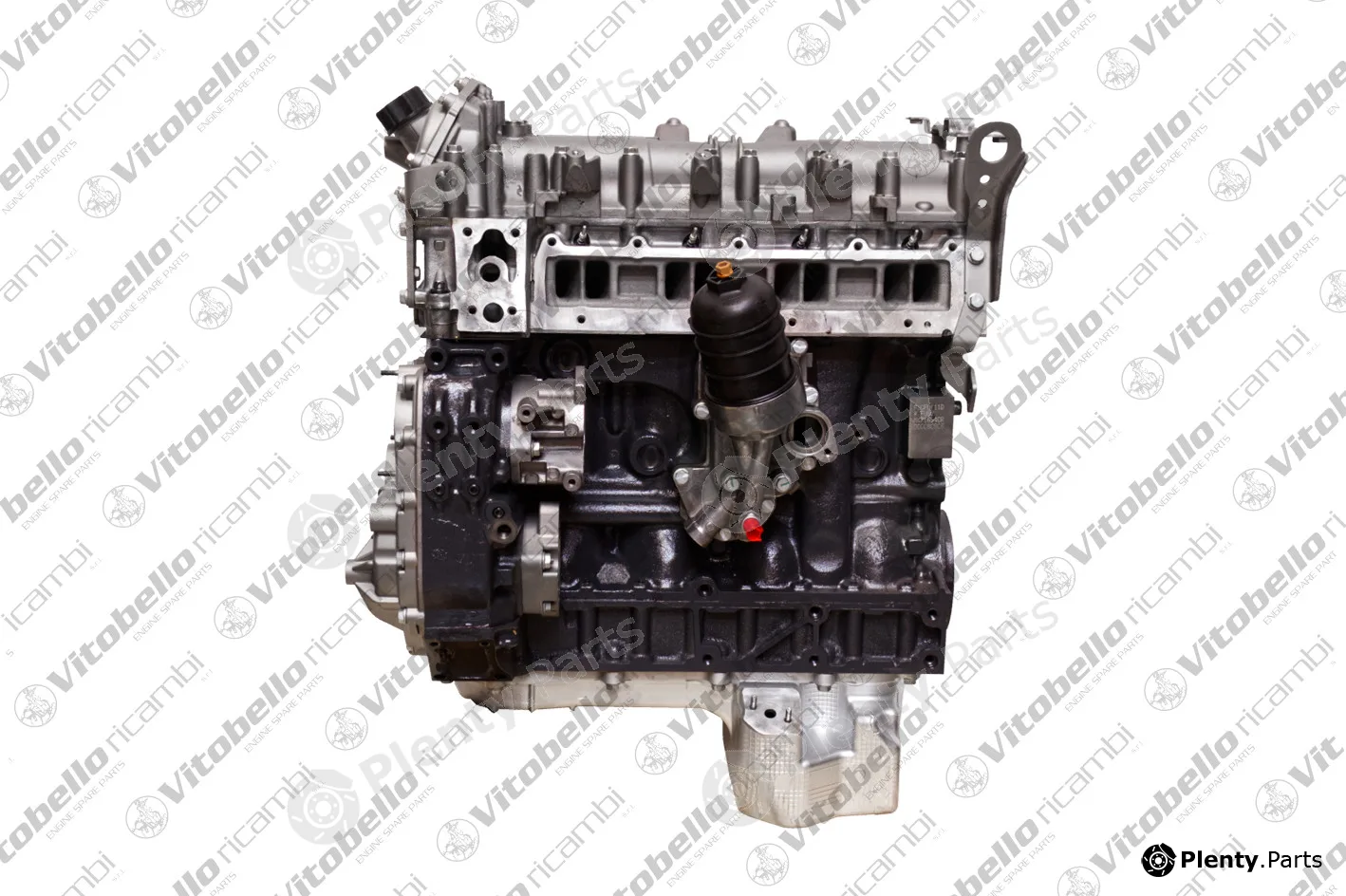 Vitobello Ricambi 1004828NO — Complete Engine