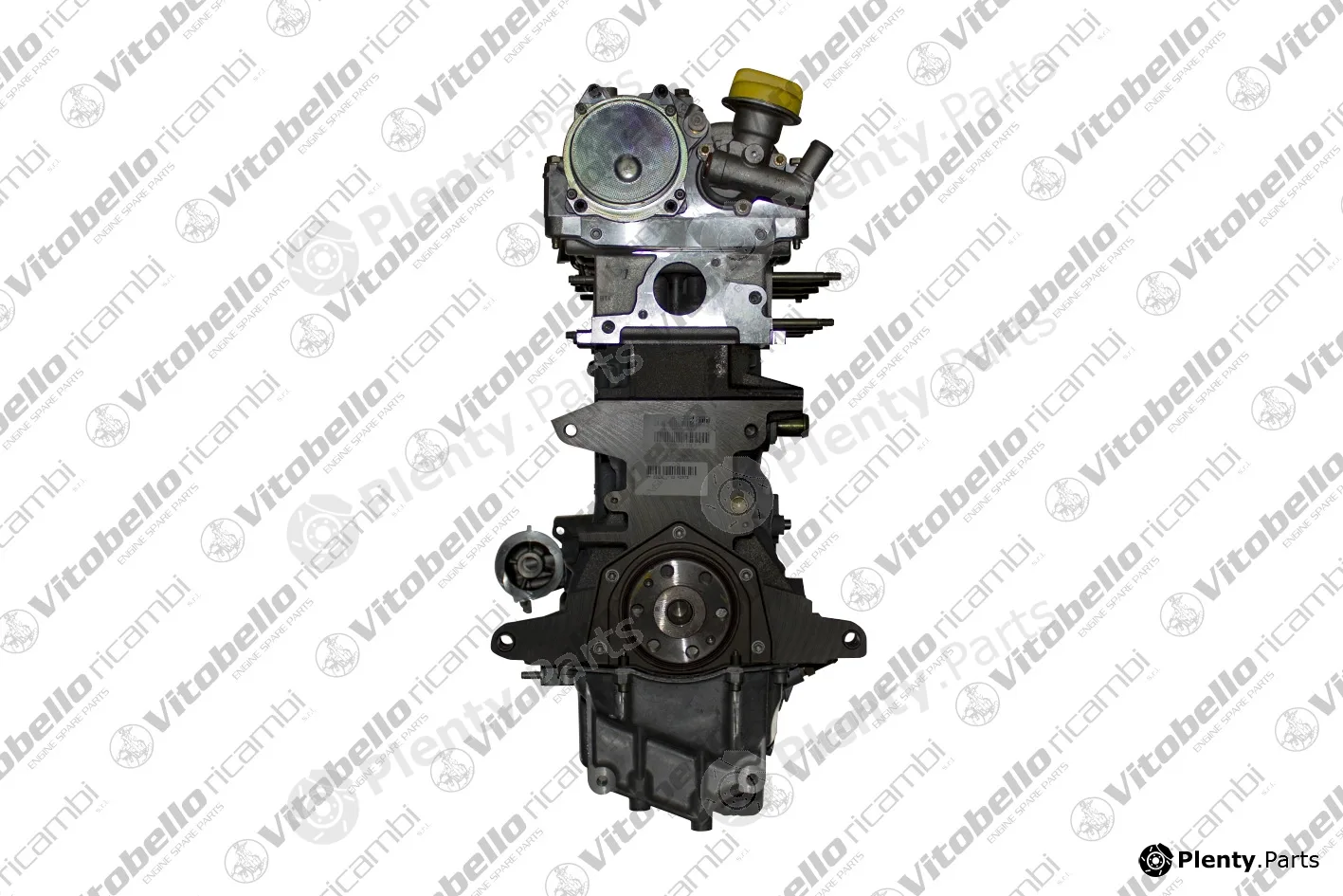 Vitobello Ricambi 6224NO — Complete Engine