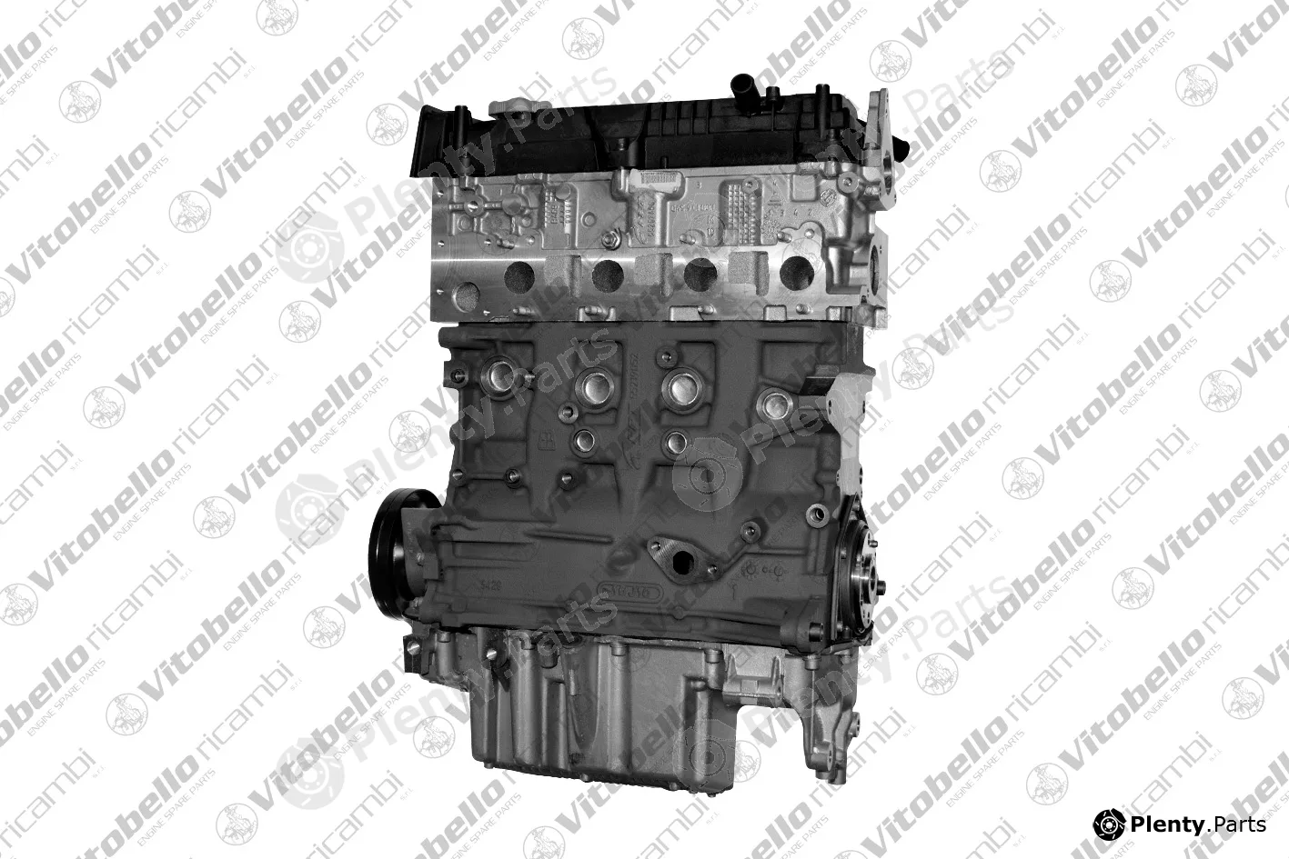 Vitobello Ricambi 17562NO — Complete Engine