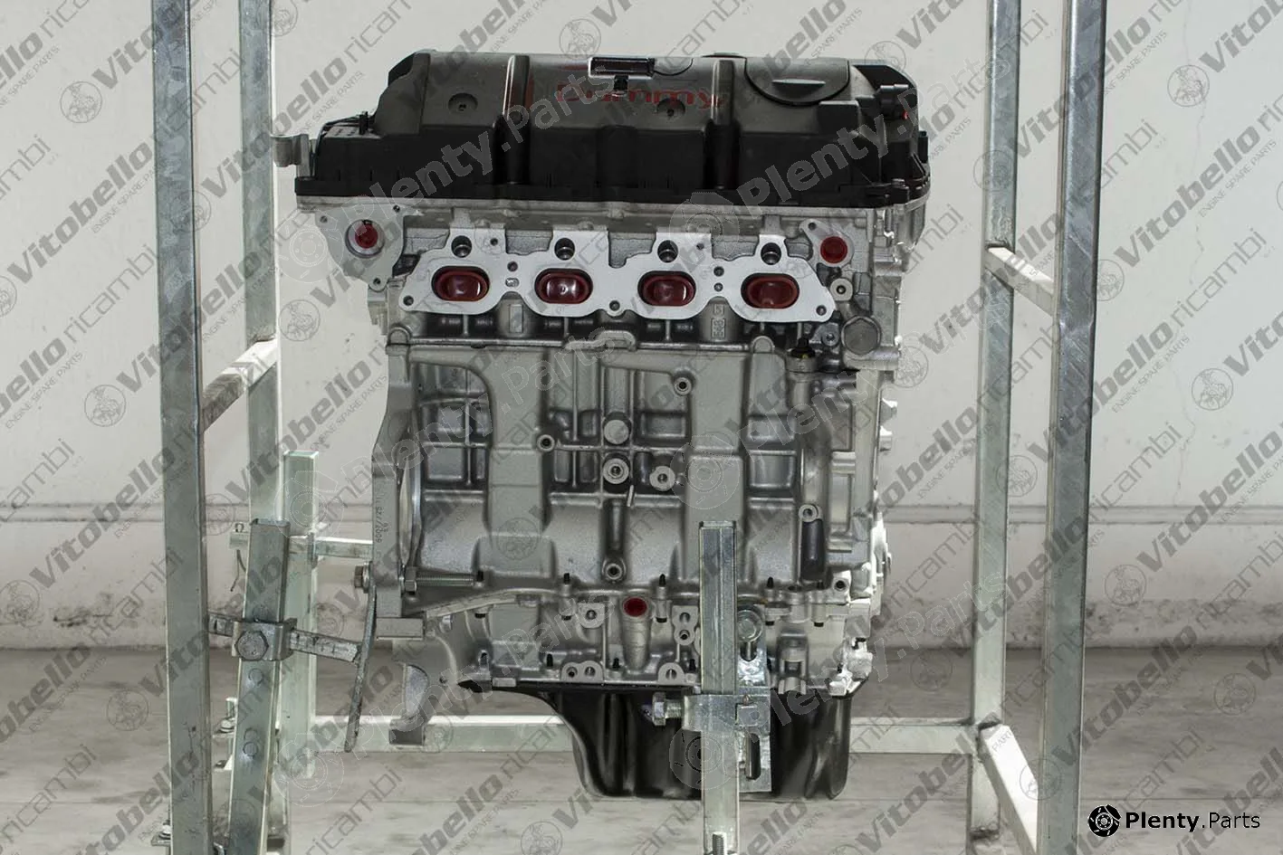 Vitobello Ricambi 18442R — Complete Engine