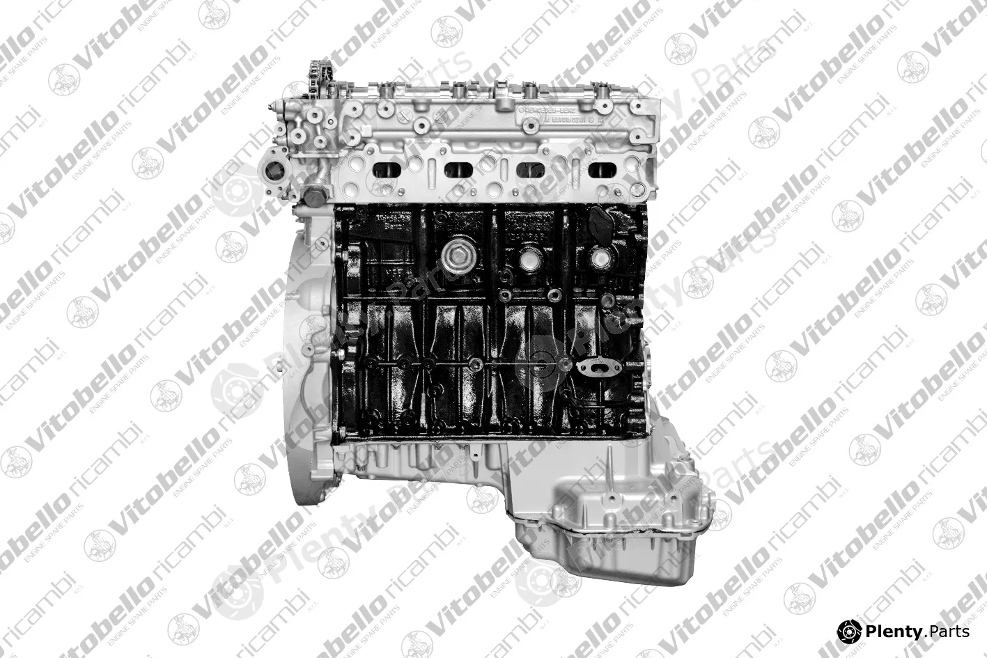 Vitobello Ricambi 1000083R — Complete Engine
