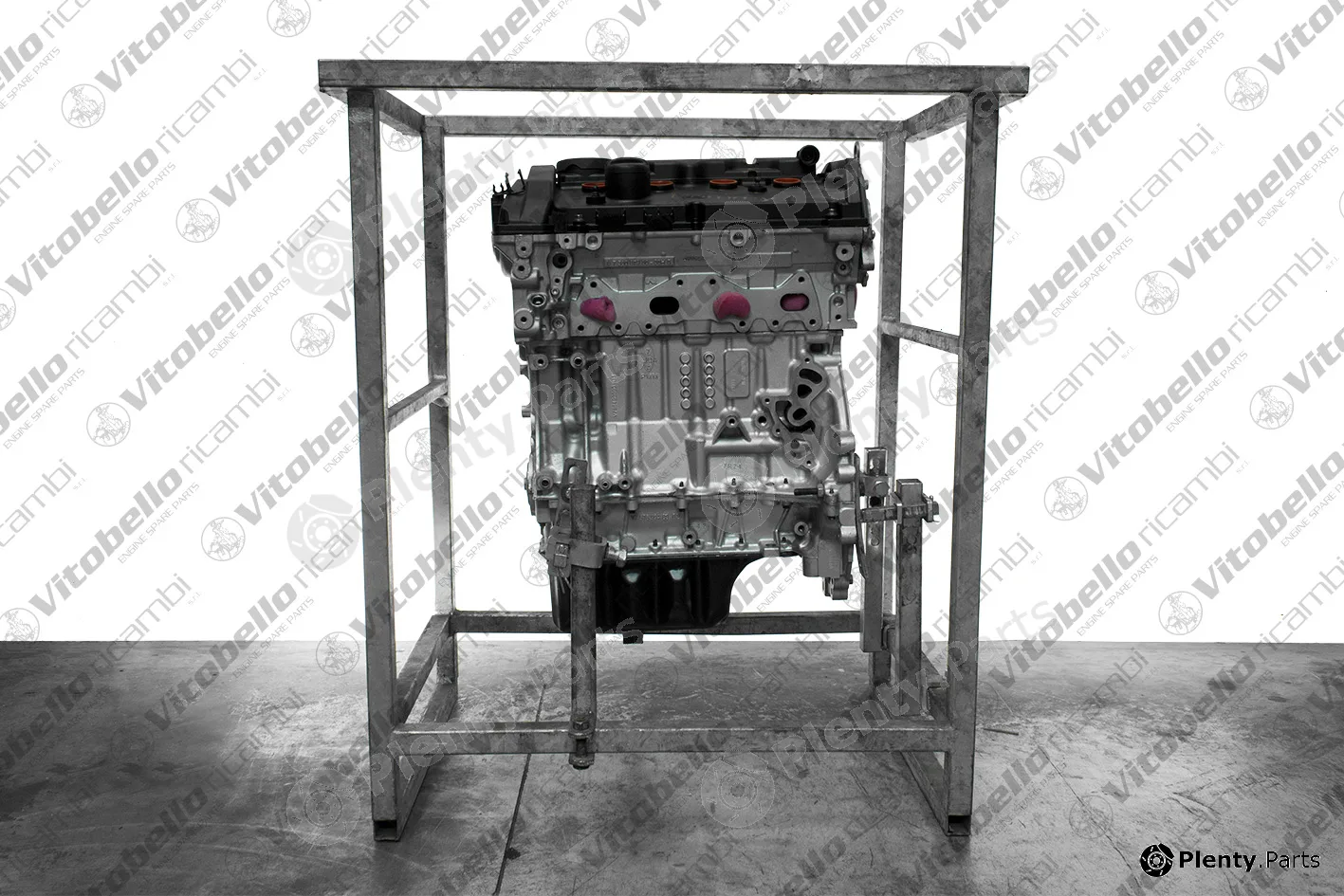Vitobello Ricambi 1004462R — Complete Engine