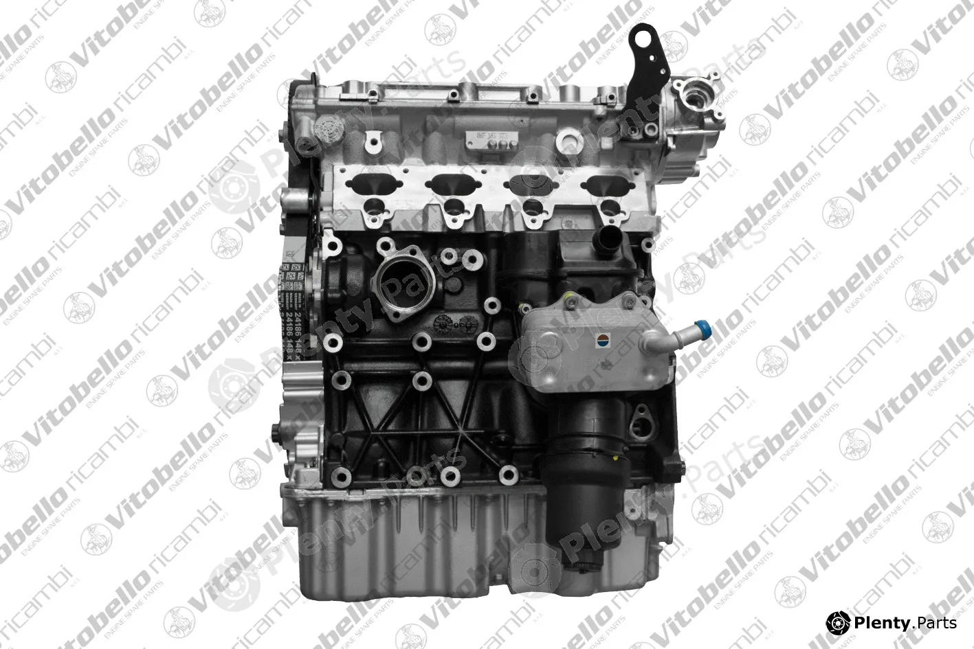 Vitobello Ricambi 1002379R — Complete Engine