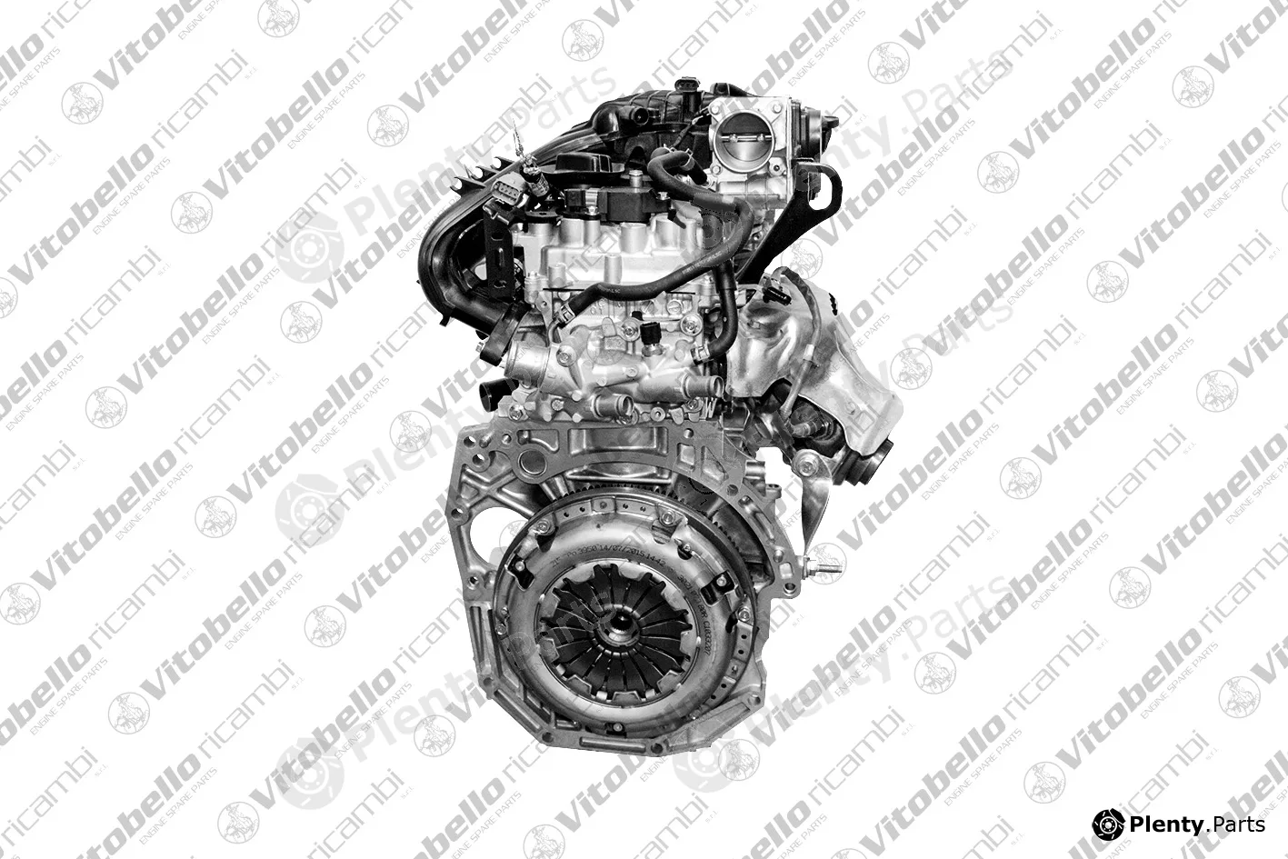 Vitobello Ricambi 19142NO — Complete Engine