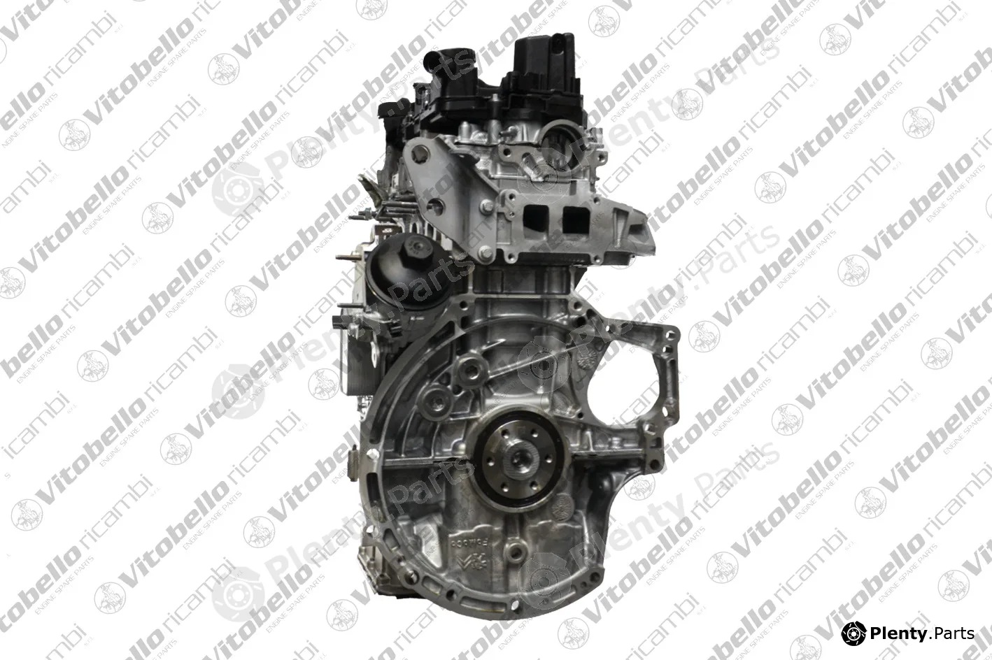 Vitobello Ricambi 1004160R — Complete Engine