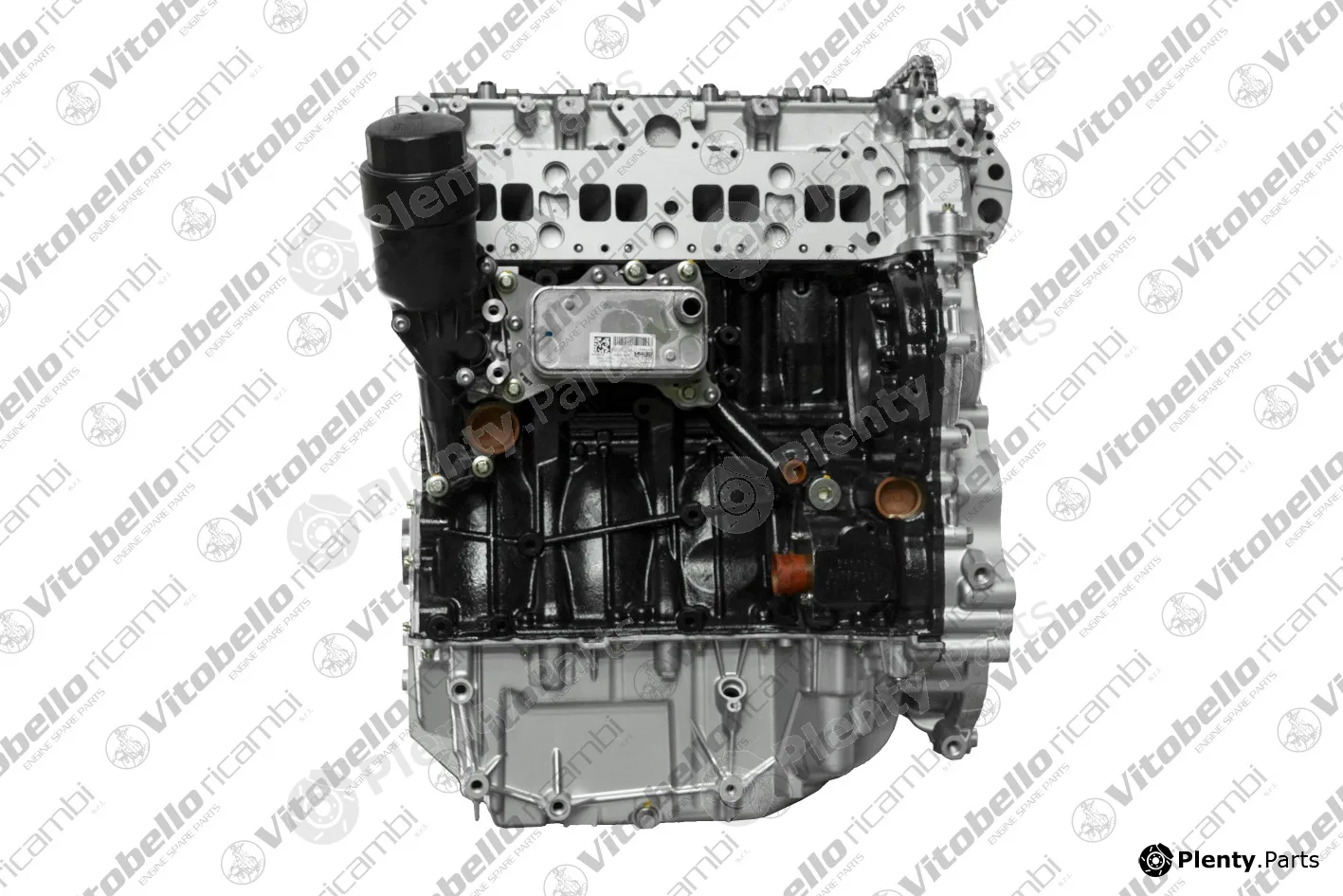 Vitobello Ricambi 1003942R — Complete Engine