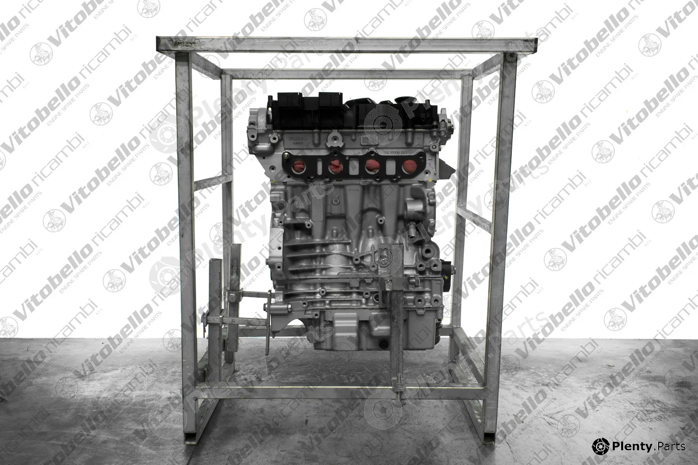 Vitobello Ricambi 1003520R — Complete Engine