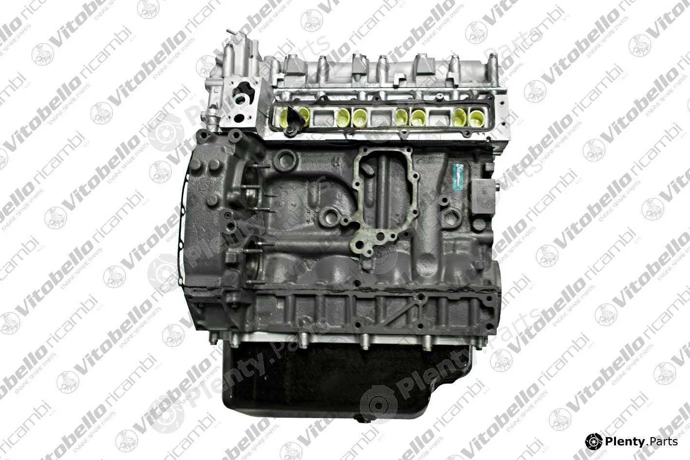 Vitobello Ricambi 1001081R — Complete Engine