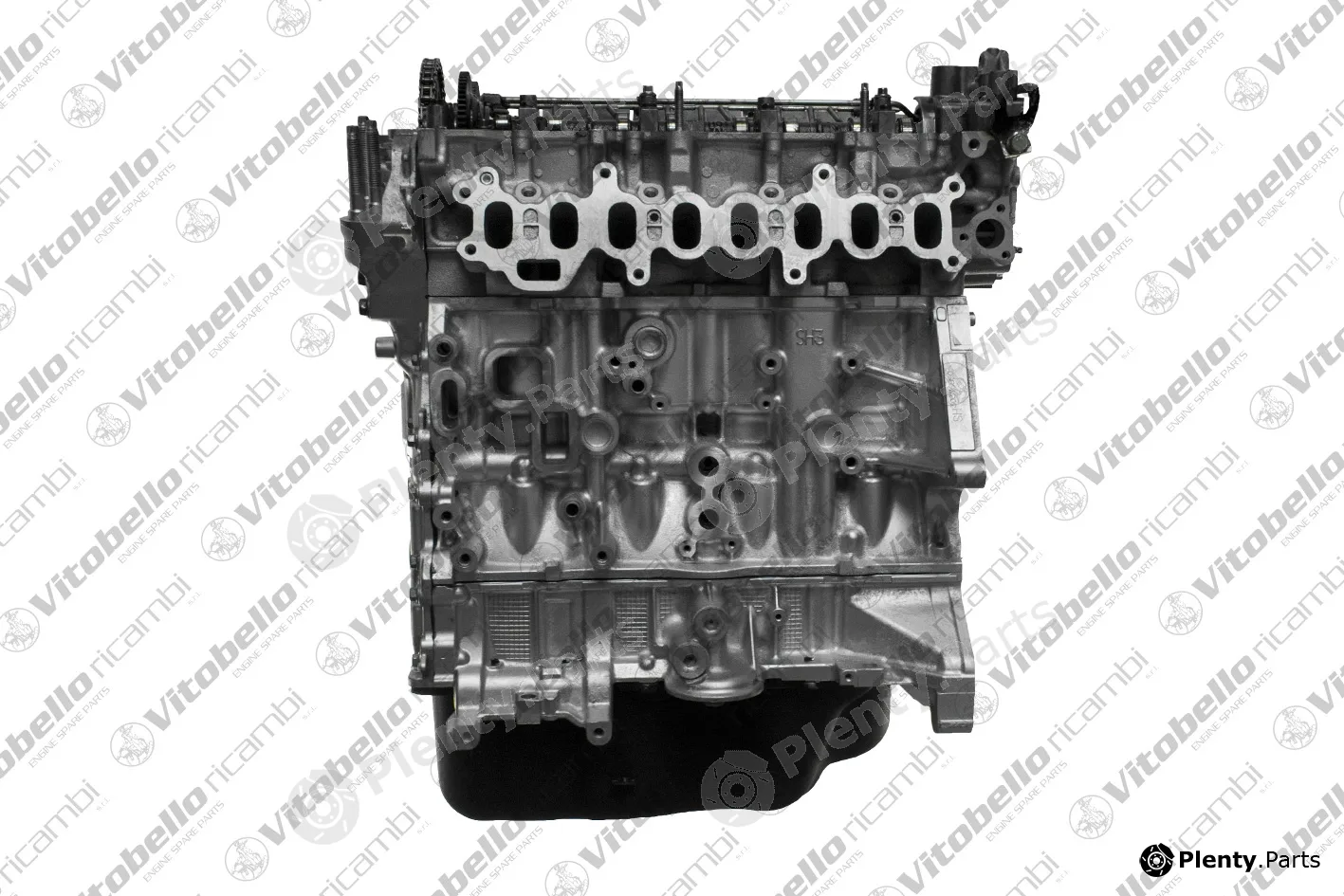 Vitobello Ricambi 1003014R — Complete Engine