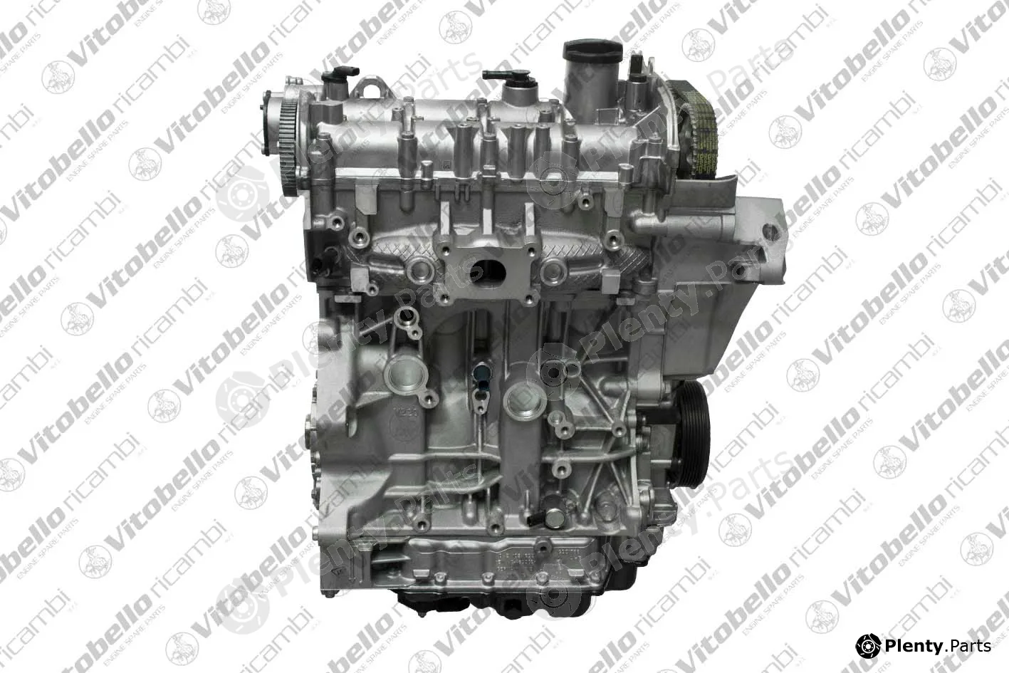 Vitobello Ricambi 1003209NO — Complete Engine