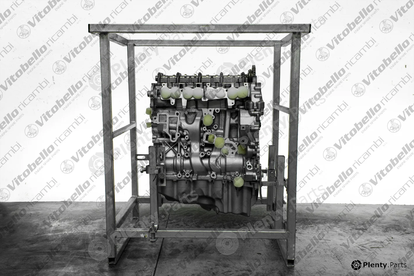 Vitobello Ricambi 1003317R — Complete Engine