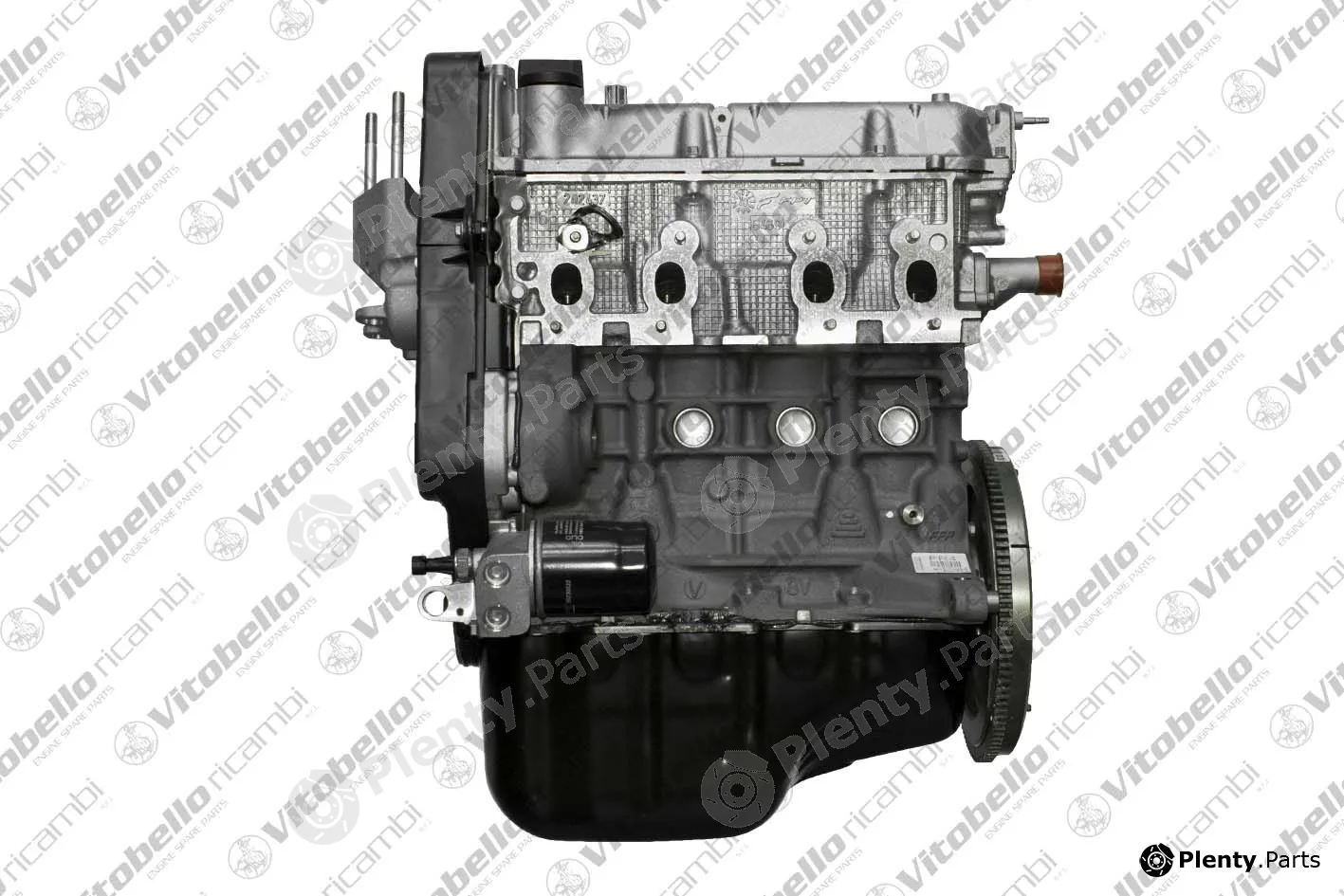 Vitobello Ricambi 18790NO — Complete Engine