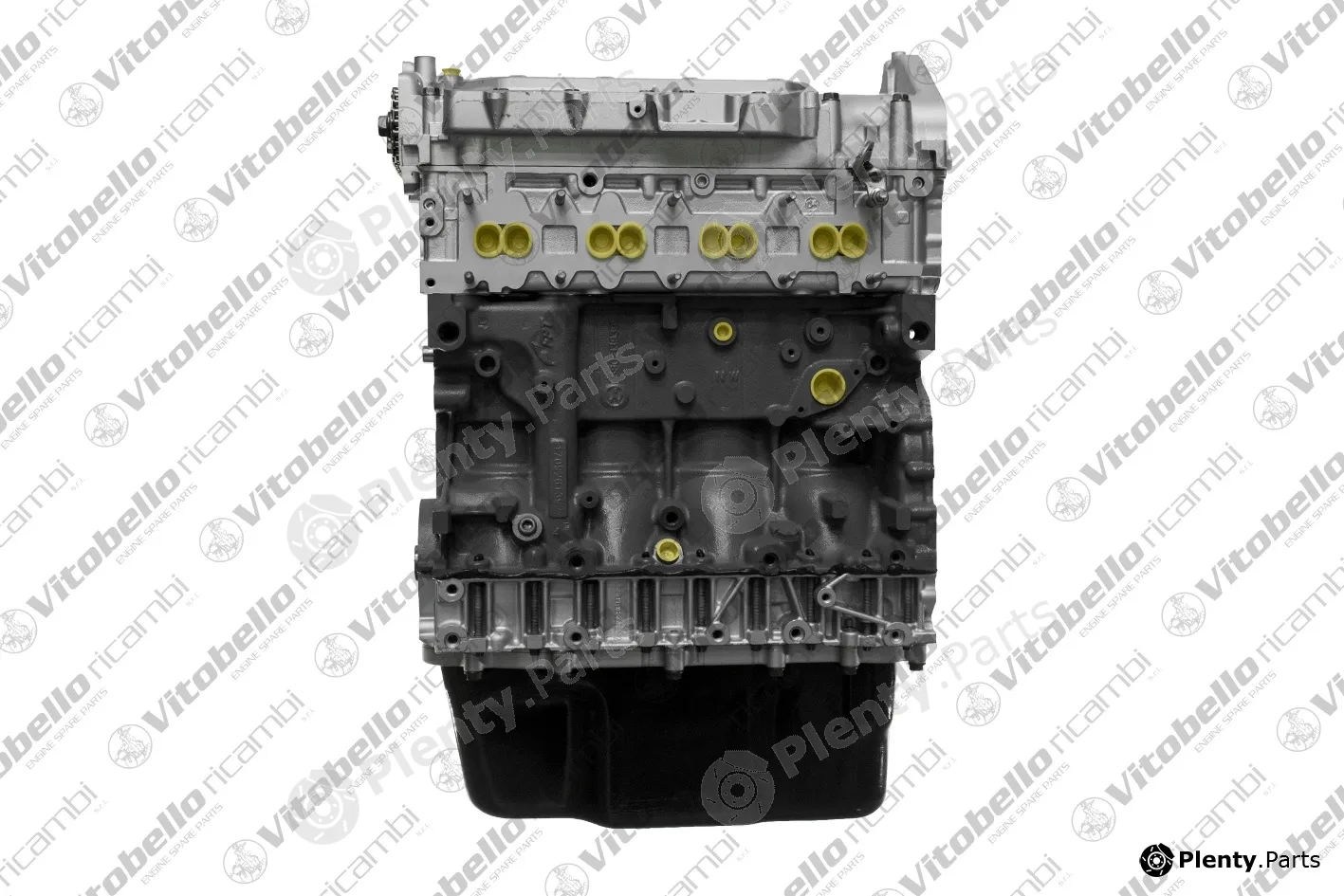 Vitobello Ricambi 1003436R — Complete Engine