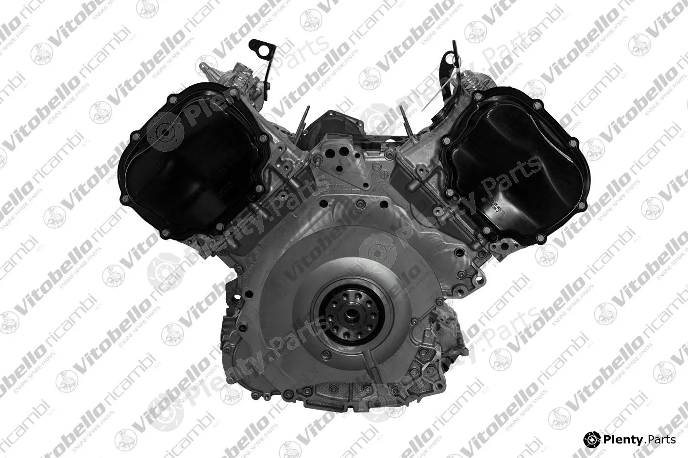 Vitobello Ricambi 1003072R — Complete Engine