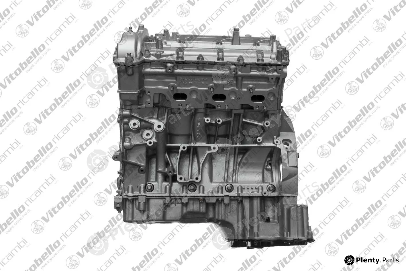Vitobello Ricambi 1003920R — Complete Engine