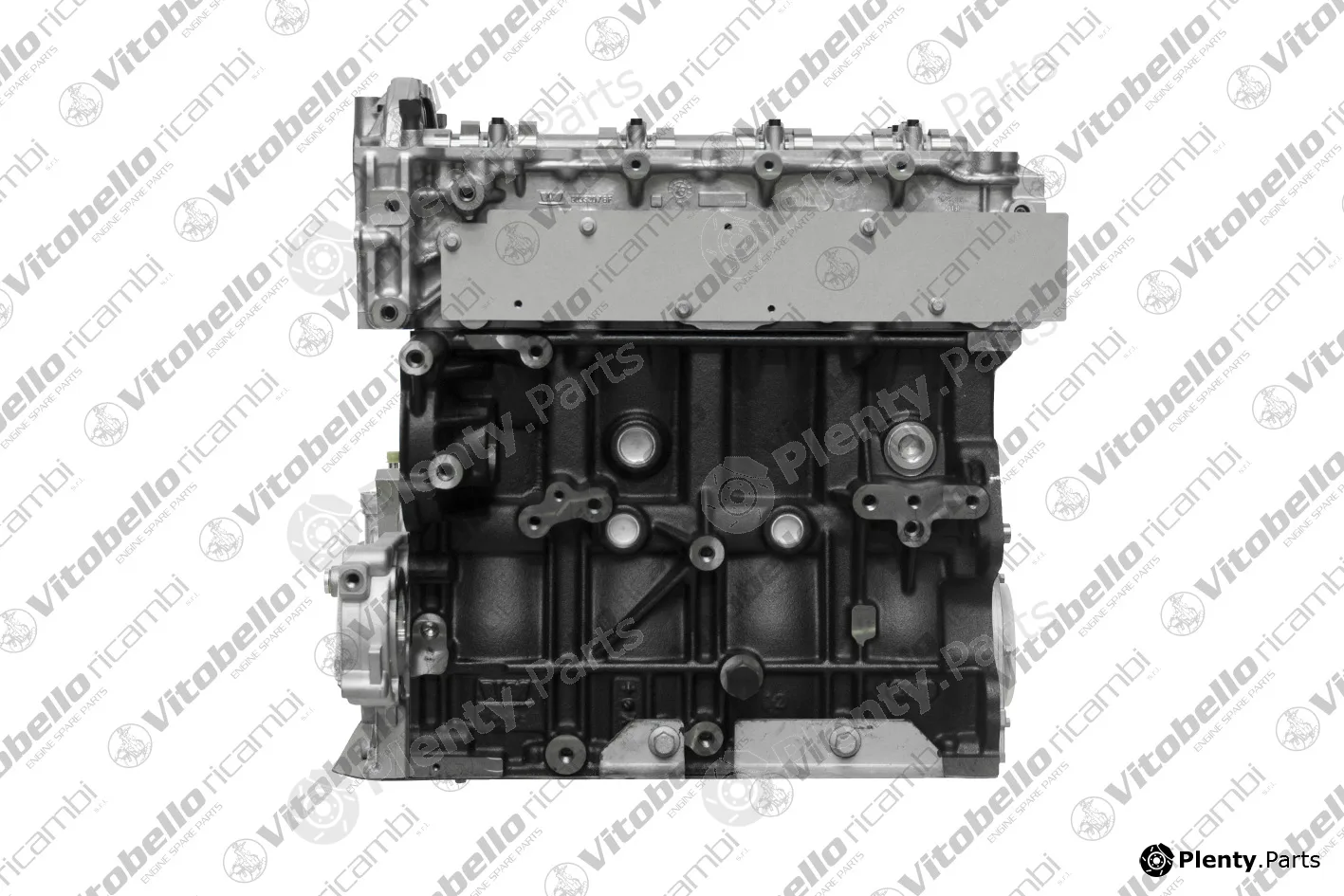 Vitobello Ricambi 1001734NO — Complete Engine