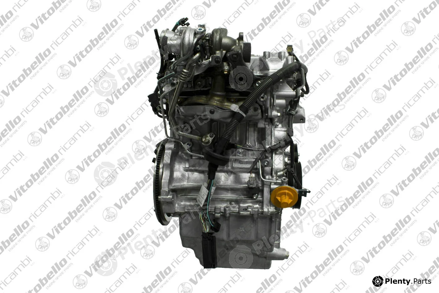 Vitobello Ricambi 1003088NO — Complete Engine