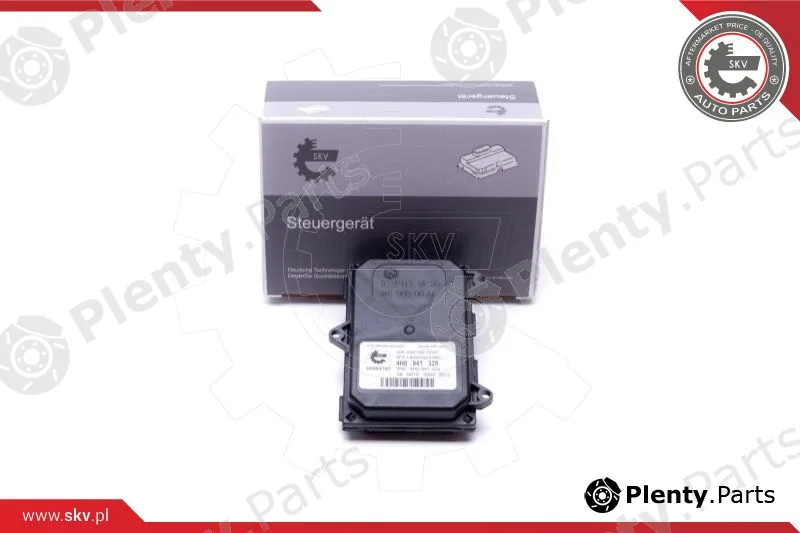 Esen SKV 59SKV181 — Control Unit, lights