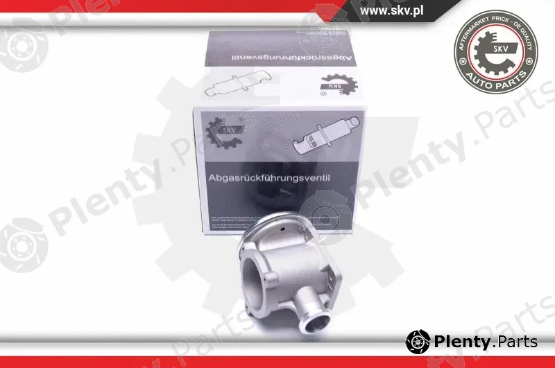 Esen SKV 14SKV177 — EGR Valve