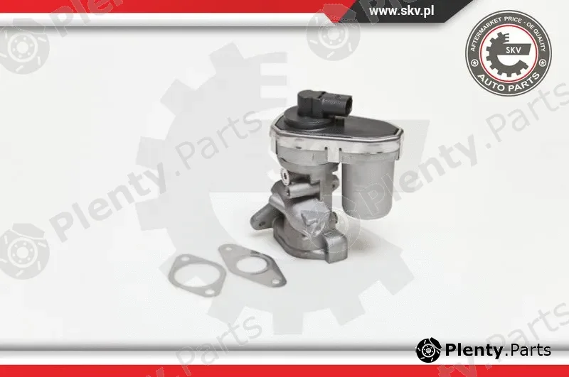 Esen SKV 14SKV038 — EGR Valve