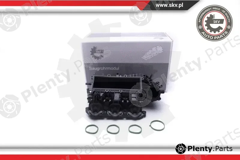 Esen SKV 49SKV061 — Intake Manifold Module