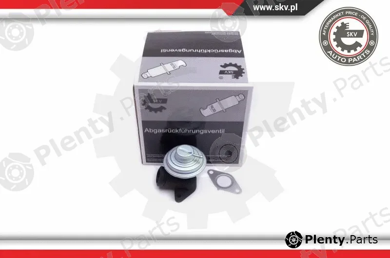 Esen SKV 14SKV205 — EGR Valve