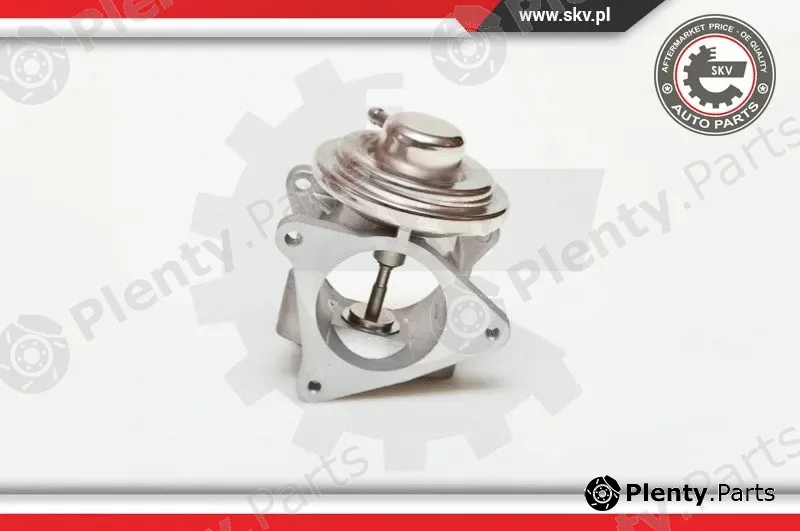 Esen SKV 14SKV019 — EGR Valve