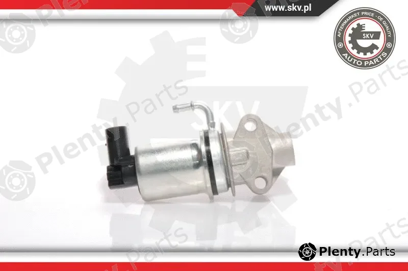 Esen SKV 14SKV018 — EGR Valve
