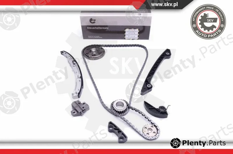 Esen SKV 21SKV219 — Timing Chain Kit