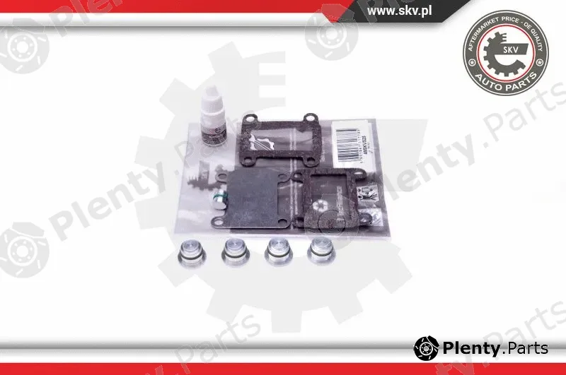 Esen SKV 49SKV525 — Repair Kit, intake manifold module