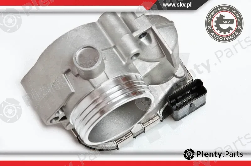 Esen SKV 12SKV001 — Throttle Body