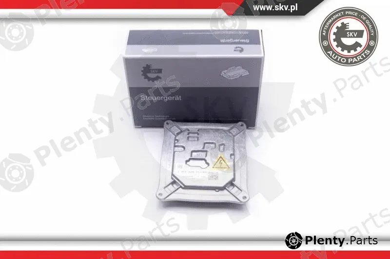 Esen SKV 59SKV001 — Control Unit, lights