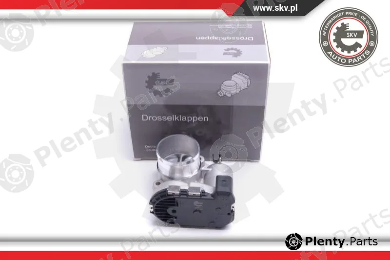Esen SKV 12SKV111 — Throttle Body