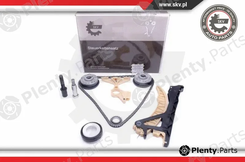 Esen SKV 21SKV157 — Timing Chain Kit