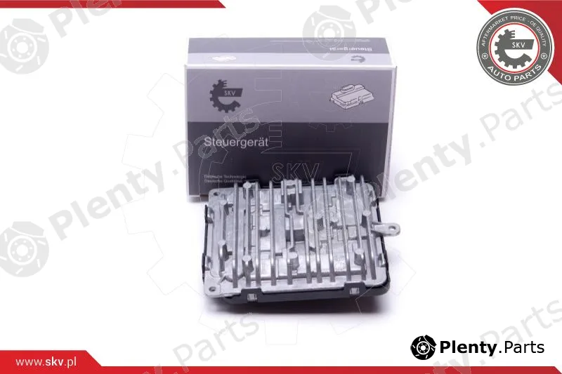 Esen SKV 59SKV183 — Control Unit, lights