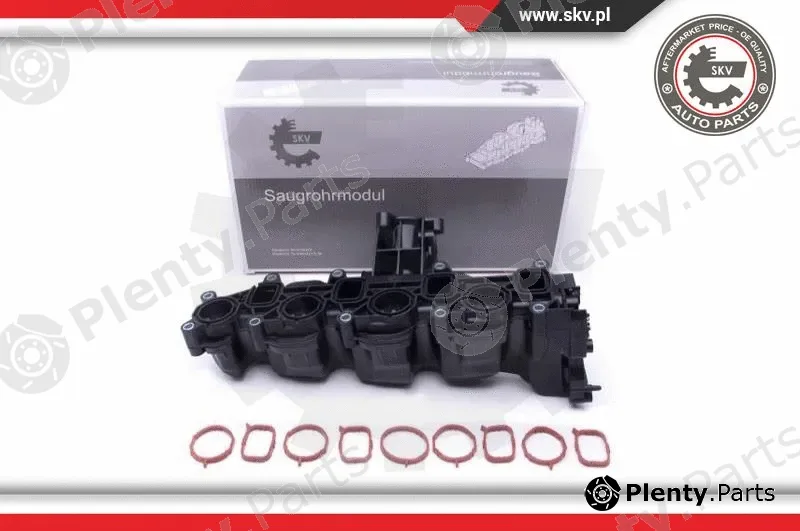 Esen SKV 49SKV040 — Intake Manifold Module