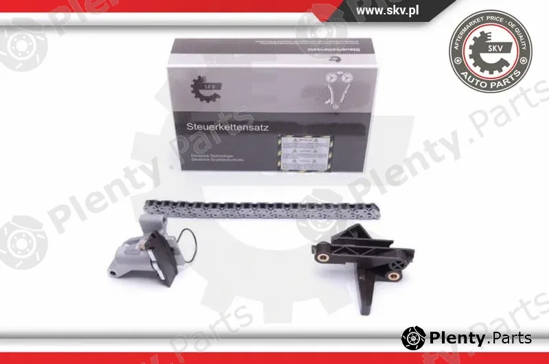 Esen SKV 21SKV135 — Timing Chain Kit