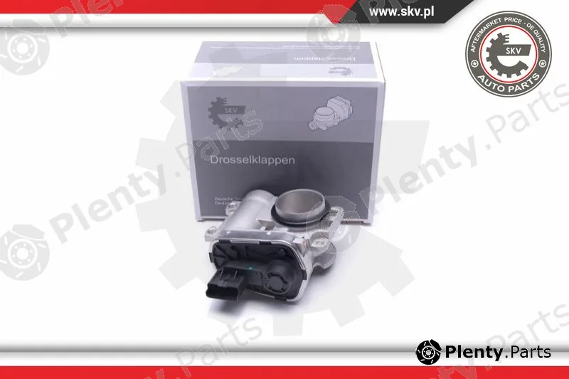 Esen SKV 12SKV102 — Throttle Body