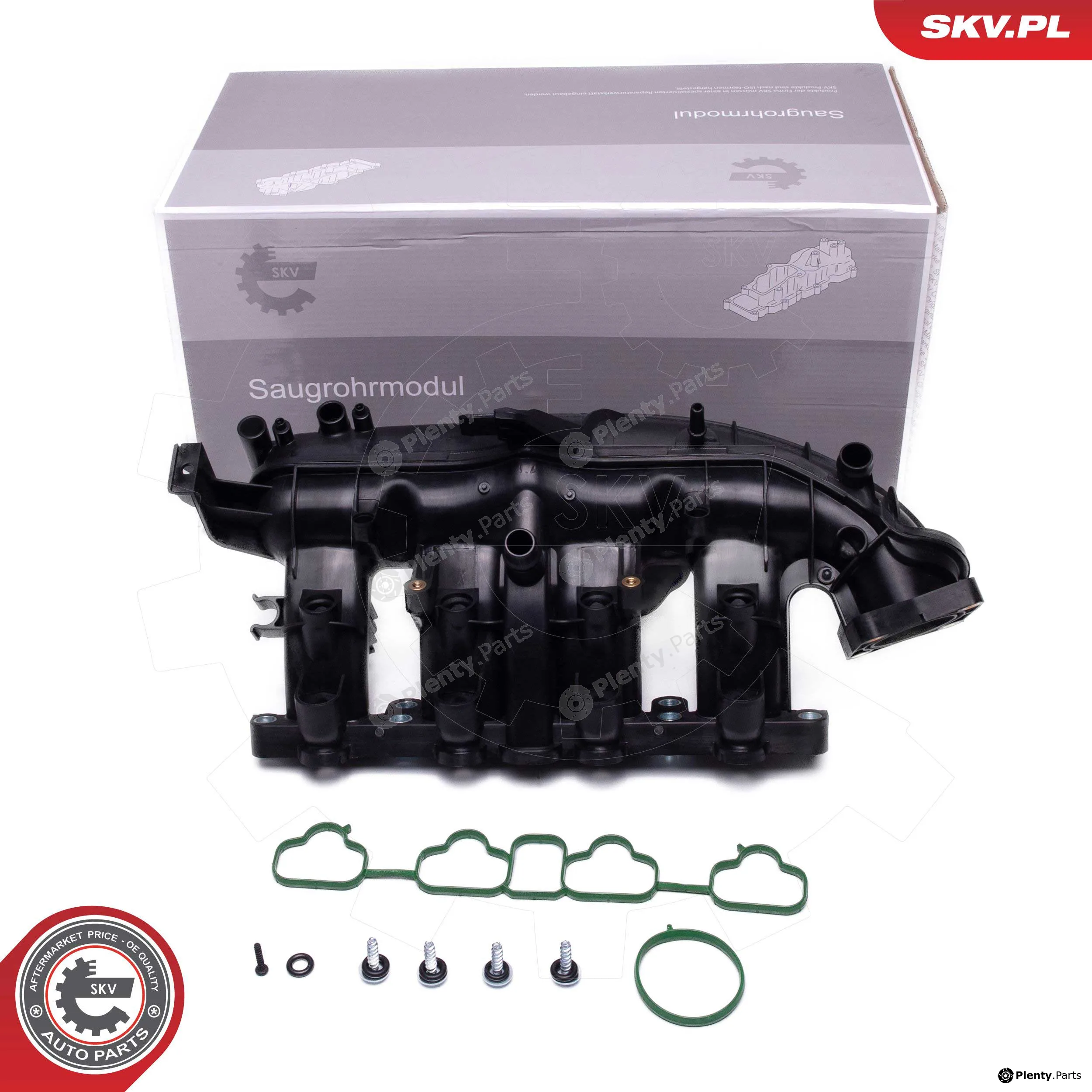 Esen SKV 49SKV076 — Intake Manifold Module
