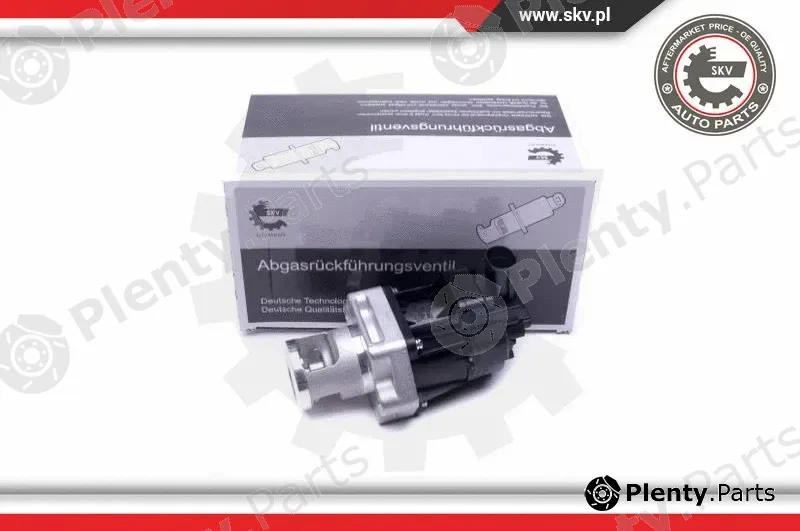 Esen SKV 14SKV217 — EGR Valve