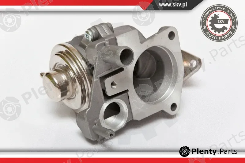 Esen SKV 14SKV063 — EGR Valve