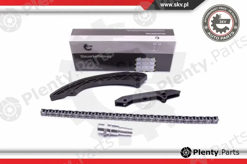 Esen SKV 21SKV136 — Timing Chain Kit