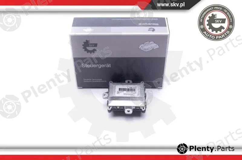 Esen SKV 59SKV145 — Control Unit, dynamic bending light